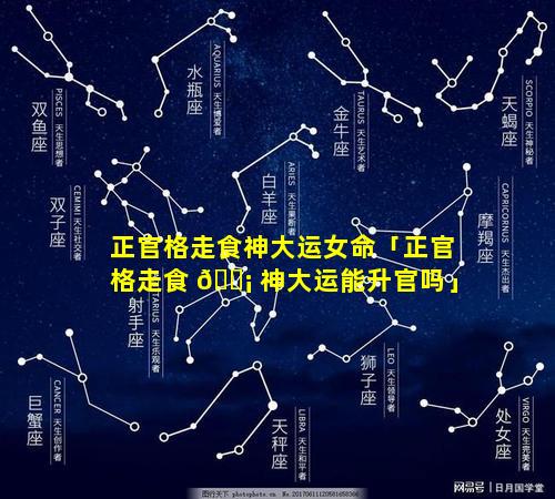 正官格走食神大运女命「正官格走食 🐡 神大运能升官吗」